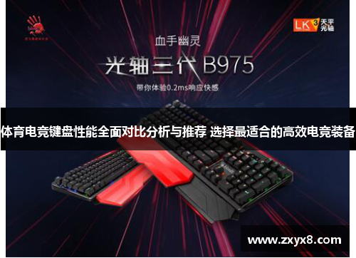 体育电竞键盘性能全面对比分析与推荐 选择最适合的高效电竞装备