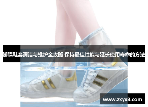 脚蹼鞋套清洁与维护全攻略 保持最佳性能与延长使用寿命的方法