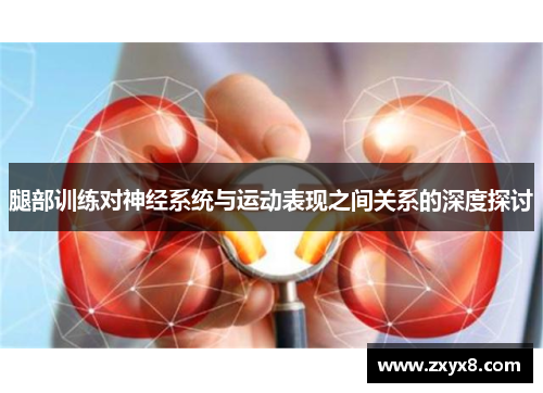 腿部训练对神经系统与运动表现之间关系的深度探讨